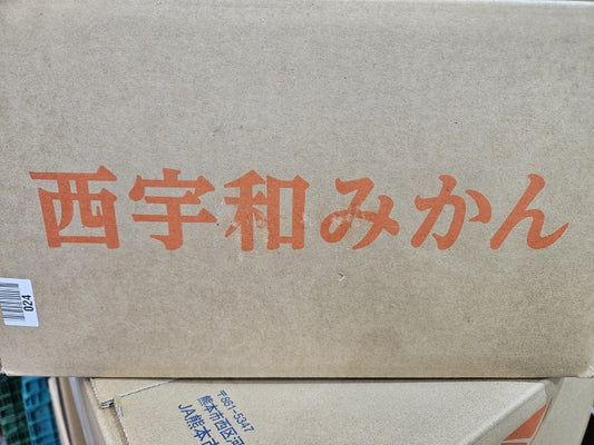 西宇和みかん